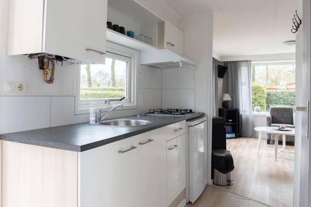 Ideaal Veluwe Bos Chalet Met Sfeervolle Pelletkachel Putten Kültér fotó